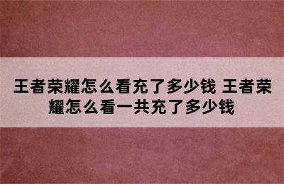 王者荣耀怎么看充了多少钱 王者荣耀怎么看一共充了多少钱